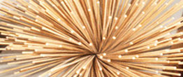 videos/vietnam-natural-bamboo-sticks.mp4